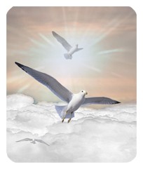 DF35 101 BZ Journey Home Clouds Birds Bronze